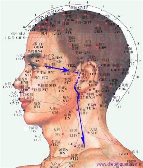 前庭穴